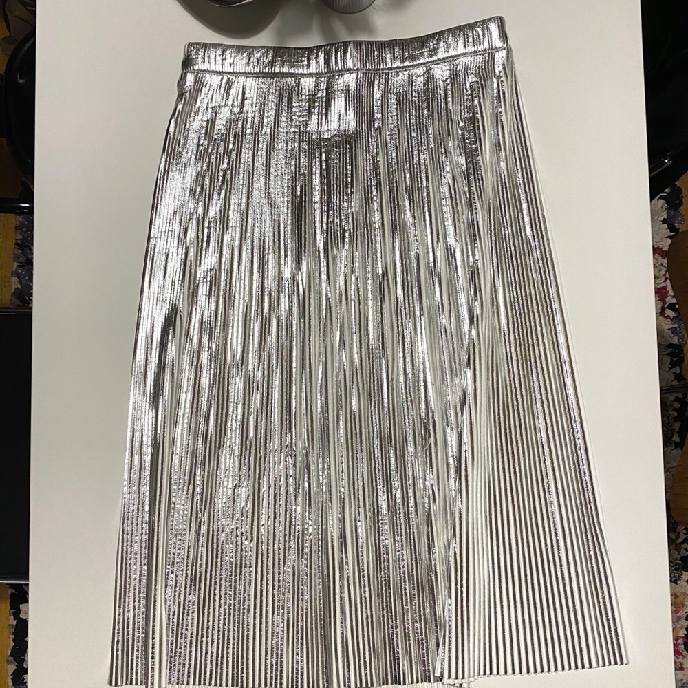 Sliver pleated skirt